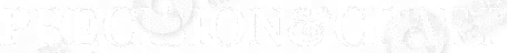 logo light
